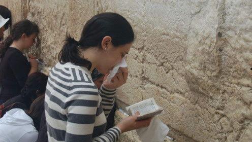 娱乐圈吃瓜的小羊,揭秘明星幕后故事