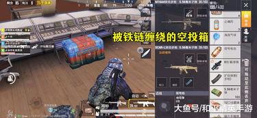 和平精英最新宝箱爆料,神秘奖励等你来拿！